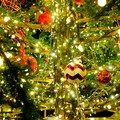 Il Natale a Sammichele di Bari, oltre 50 appuntamenti a partire da oggi