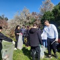  "Earth day ", a Bari gli studenti ripuliscono parco Perotti