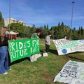 Fridays for future, anche a Bari torna il venerdì contro il cambiamento climatico