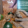 Grano, i cerealicoltori pugliesi si danno appuntamento al porto di Bari per protestare