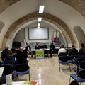 Gal Nuovo Fior d’Olivi: pubblicato il bando da 1,6 milioni di euro per nuove imprese e servizi extra-agricoli