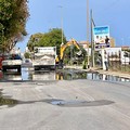 Pane e Pomodoro e Japigia, Decaro contro Aqp