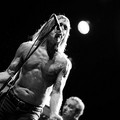 Medimex, 80mila persone per Iggy Pop