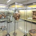 Domenica alternativa al museo nazionale archeologico di Altamura