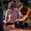 Più verde per Bari con  "Il bosco didattico di comunità ", un progetto di Autoctoni- Rimboschimento di comunità