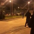 San Paolo, in un video la passeggiata dei cinghiali per il quartiere