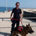 Controlli sui microchip a Palese, Santo Spirito e Catino