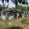 Auto, frigoriferi, computer e altro, trovata una discarica a Carbonara di Bari