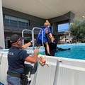 La polizia di Stato in Fiera del Levante, uno stand dedicato ai bambini