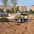 Bari, al parco ex Rossani arrivano nuovi alberi