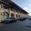 Riqualificazione di corso Italia a Bari, Ikea  "dona " 100 alberi di ligustro