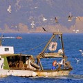 Pescatore di Mola si ferisce alla testa su un peschereccio in Sicilia