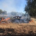 Incendi nelle campagne di Bari, 3 denunce della polizia locale