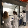 Università di Bari, riapre il laboratorio di chimica dopo la ristrutturazione