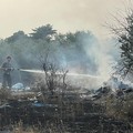 Continua a bruciare la campagna a Bari, vasto incendio a Japigia