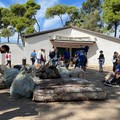 World clean up day, 200 volontari ripuliscono la pineta