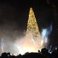 Si accende l'albero in piazza, inizia il Natale a Bari