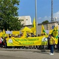 Crolla il prezzo del grano, contadini in protesta al porto di Bari