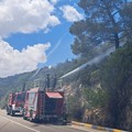 Brucia macchia mediterranea a Monopoli