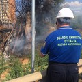 Weekend di fuoco a Bari, due incendi al San Paolo e in zona aeroporto