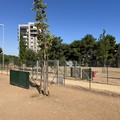 Area cani  "Fiorino " a Parco Annoscia di Japigia, terminati i lavori