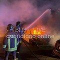 Bitritto, incendio nella notte: diverse auto distrutte