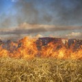 Incendi Boschivi, la Regione Puglia dichiara lo stato di crisi e di emergenza