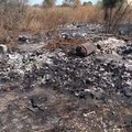 Incendio di rifiuti in un terreno a Mungivacca, a fuoco la discarica abusiva