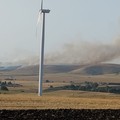 Incendio Poggiorsini, fiamme domate dopo dieci ore. In fumo 300 ettari di parco