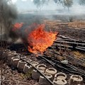 Noicattaro, incendio nelle campagne: fiamme domate dai Vigili del fuoco