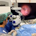 Virus immesso sotto la retina per recuperare la vista, innovativo intervento al Policlinico di Bari