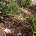 Giornata mondiale dell'ambiente, le azioni di guerrilla gardening di BariEcoCity