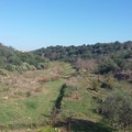 Dalla Regione Puglia 1 milione per il progetto  "Parco Lama Picone. Un cortocircuito Verde fra i Quartieri "
