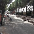 Noicattaro (Bari), via ai lavori di ampliamento del Parco Comunale