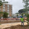 Ospedale pediatrico di Bari, ripresi i lavori per le tre nuove aree verdi