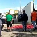 Prezzi troppo bassi per le ciliegie, agricoltori protestano gettandole in strada