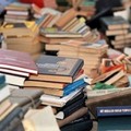 Bari,  "Io amo i libri ", l'idea per il centro comunale di raccolta di Catino