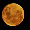 La luna dà spettacolo anche a Bari, stasera eclissi parziale intorno alle 22