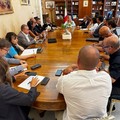 Lupo a Noicattaro, il DNA conferma: è un giovane esemplare appenninico. Paolicelli: «Task force rafforzata»