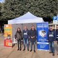 A Bari una giornata di microchippatura di cani e gatti, appuntamento in piazza Massari