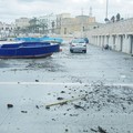  "PuliAmo le spiagge ", sul molo Sant'Antonio l'iniziativa di ASD Mare da Amare e Comune di Bari