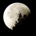Bari, domani sera si potrà ammirare la "luna delle rose "