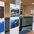  "Mare caldo ", al palazzo delle Poste la mostra di Greenpeace Bari