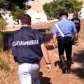 Noci, sfruttava un pastore indiano nella sua azienda agricola. Arrestato 47enne