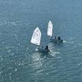 Grande successo per il Circolo della Vela Bari al 28° Trofeo Challenge Optimist organizzato dalla LNI Trani