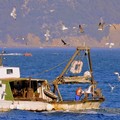 Come educare i pescatori alla sicurezza in mare. Tutti i numeri del progetto  "Pesca sicura "