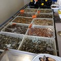 Il commercio a Bari perde un'altra attività storica, chiude la pescheria Lorusso a Fesca