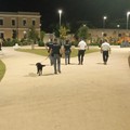 Intensificati i controlli nel centro di Bari, dispiegamento di forze tra piazza Umberto e il parco Rossani