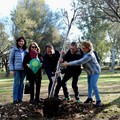 Pineta San Francesco, piantumati 150 nuovi alberi e arbusti