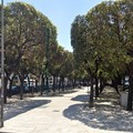  "Maggio all'infanzia ": il corteo per le vie del centro di Bari